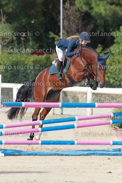 RANZATO_AMARENA_GIO CAV 2011_(209) SS3_0336.jpg